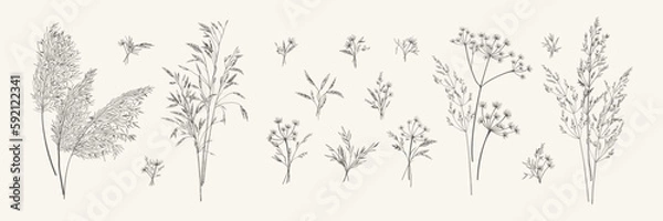 Fototapeta Collection of bouquets of meadow herbs. Botanical set with wild herbs. Black and white. Line art style. Vector illustration.