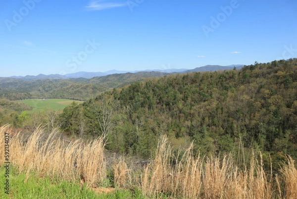 Fototapeta grass and sky