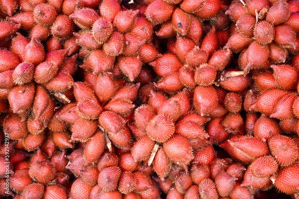 Obraz Close-up red salacca wallichiana fruit group for sale in a market. Top view.