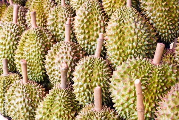 Obraz Close-up durian group for sale in a market