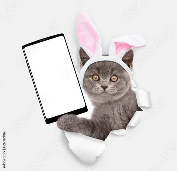 Fototapeta Cute kitten wearing easter rabbits ears holds big smartphone with white blank screen through torn white paper hole. Empty free space for mock up