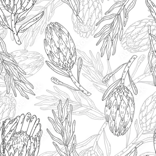 Obraz Hand drawn seamless pattern line art flowers protea. 