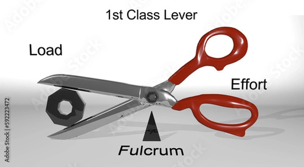 Obraz First Class Lever