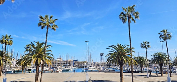 Obraz view of the city port with yachts, palm trees, blue sky, sunny day. Barcelona, Spain 