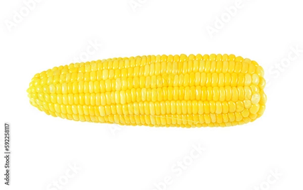 Fototapeta corn seeds isolated on  transparent png