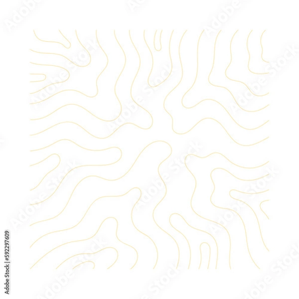 Fototapeta Topography Pattern Lines