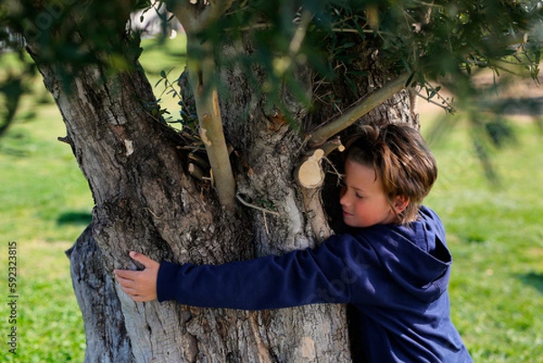 Fototapeta a little boy hugs a tree and is charged with the energy of nature