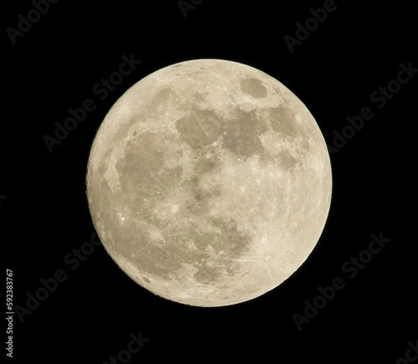 Obraz full moon in the night