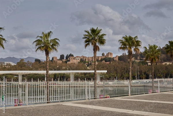 Obraz trees on the lake