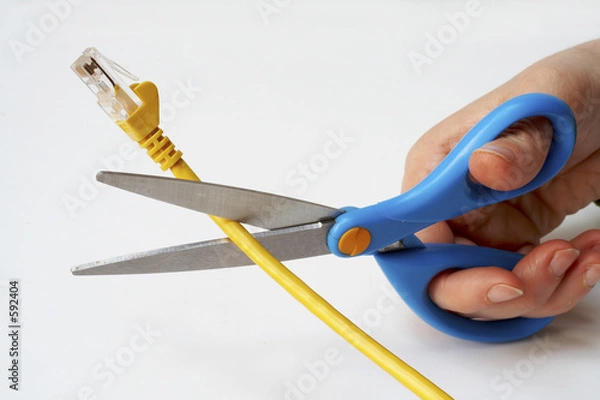 Obraz network cable cutting