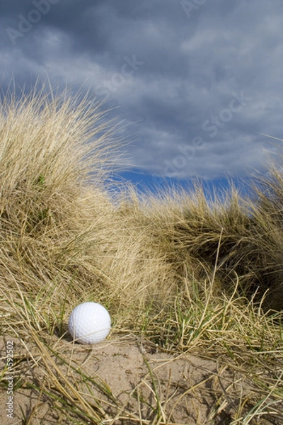 Obraz golf ball in dunes