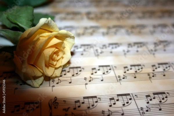 Fototapeta Song for u...