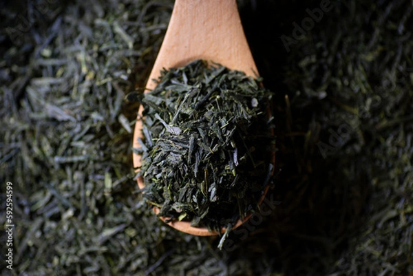 Obraz 日本茶　茶葉