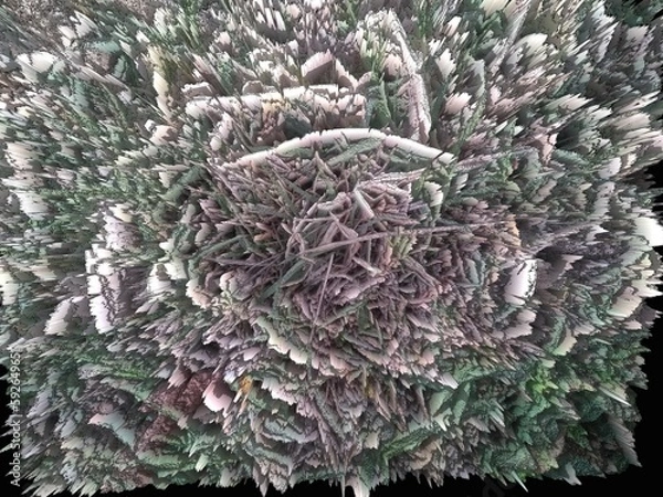 Fototapeta Close up of a tree