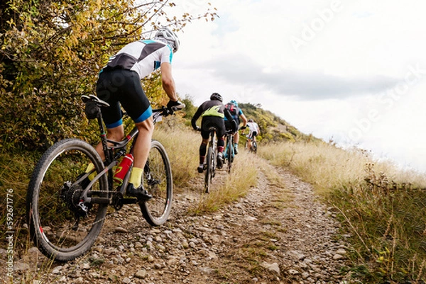 Obraz group athletes cyclists riding sports bicycle on gravel road with bushes on side in cross-country cycling competition