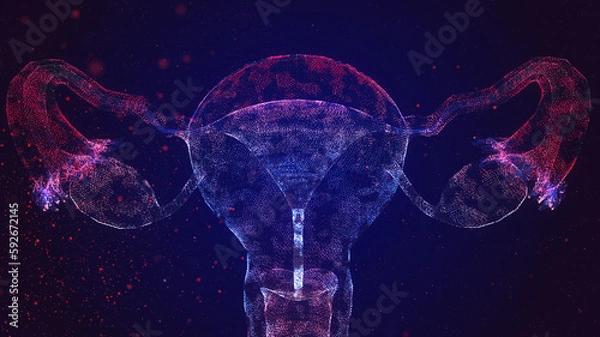 Fototapeta Ovaries. Female reproductive uterus organs and ovaries health care. Particles are connected in a geometric silhouette