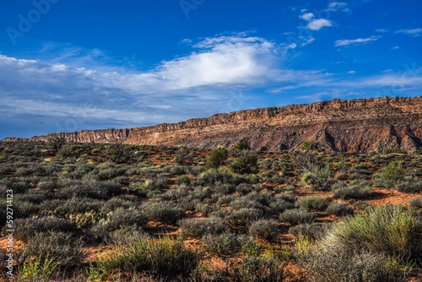 Obraz Western States Desert 