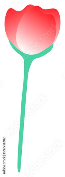 Obraz Red rose sticker