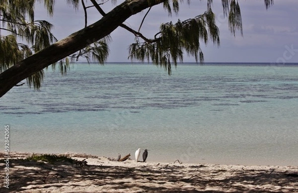 Obraz the happy couple