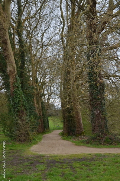 Obraz petite maison de gare