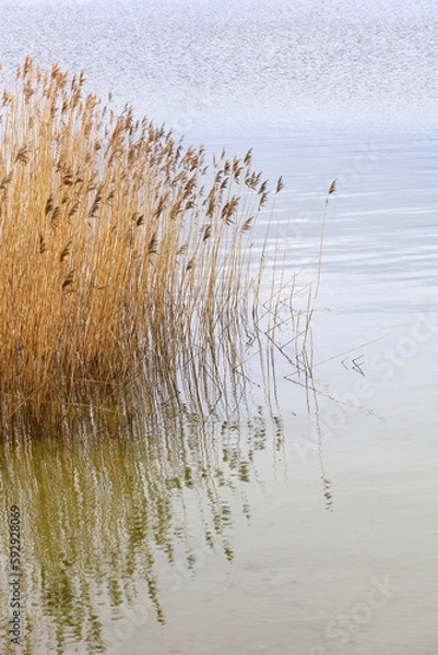 Obraz Halbinsel Mönchgut, Rügen