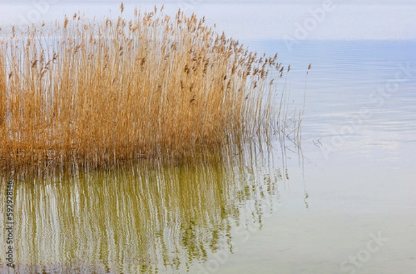 Obraz Halbinsel Mönchgut, Rügen