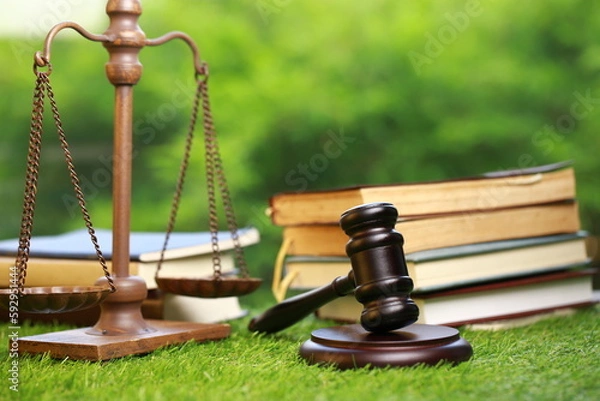 Obraz Court scale as judgement symbol with lawyer's hammer on green grass and nature fresh as garden view of judgement room.