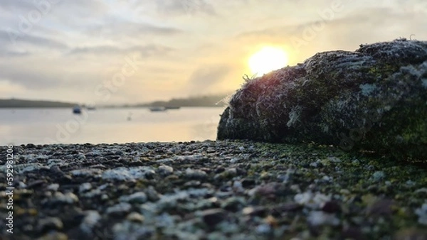 Obraz sunset over the river