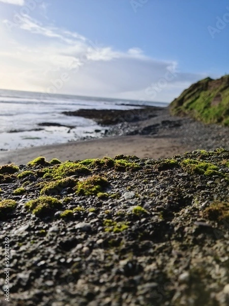 Obraz beach at sunset