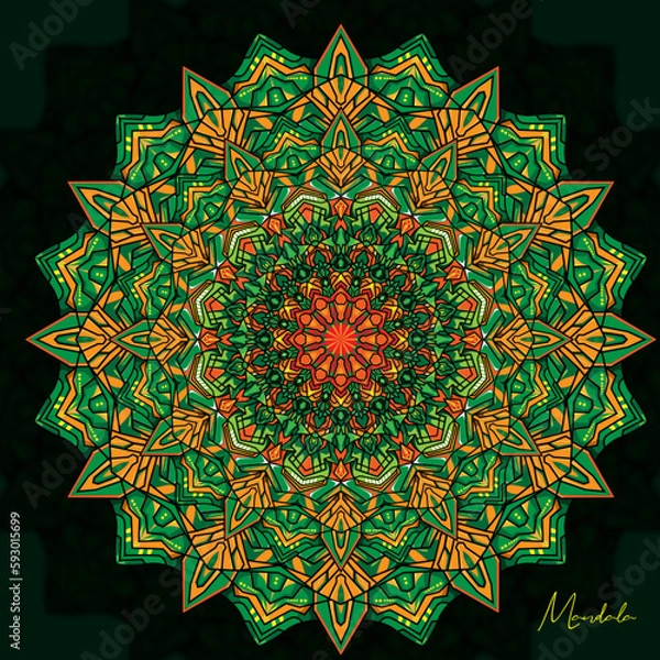 Obraz Vector luxury mandala decorative background