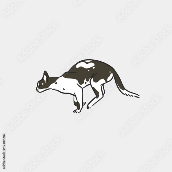 Fototapeta Hand drawn vector abstract graphic line art collection with adorable cute funny cartoon cat character.Vector illustration of funny cartoon pretty cat in trendy flat style. Line art cat icon design.