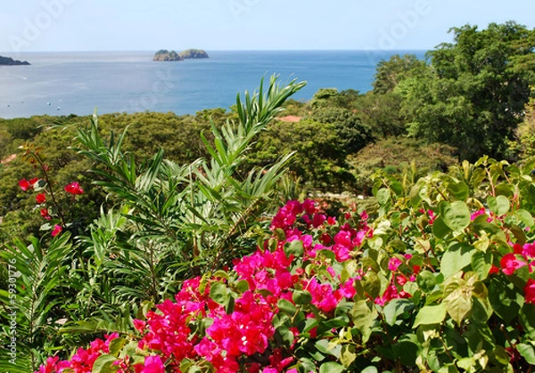 Obraz Pacific Ocean view