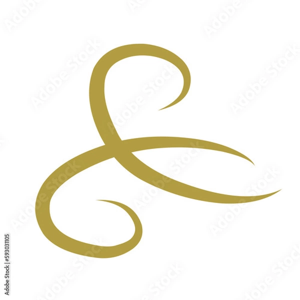 Fototapeta Calligraphic design elements vintage ornaments swirls and scrolls decorations vector