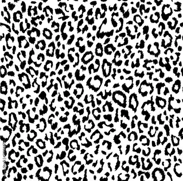 Fototapeta Leopard print pattern on transparent background