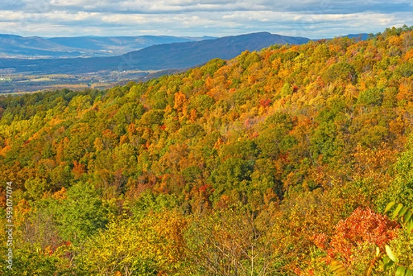 Fototapeta Autumn Colors on a Mountain Ridge