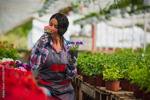 Fototapeta A woman working in a greenhouse with flowers and she is satisfied with her job. Enjoying working with plants. Flower industry.