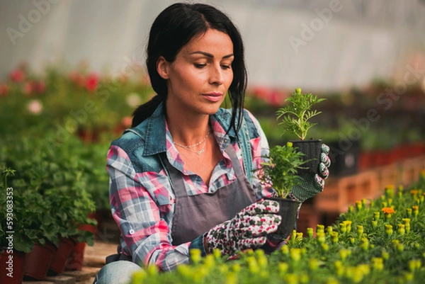 Fototapeta A woman working in a greenhouse with flowers and she is satisfied with her job. Enjoying working with plants. Flower industry.