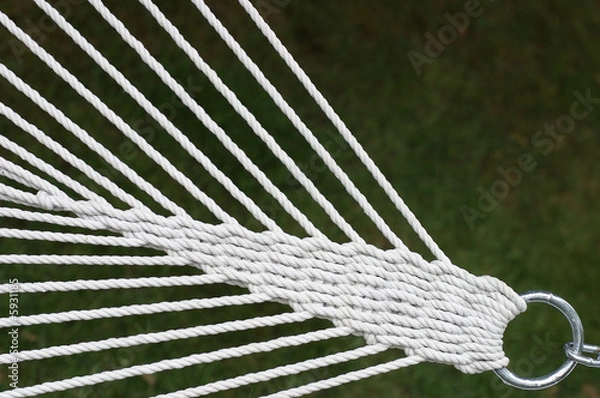 Obraz Ropes and ring, diagonal