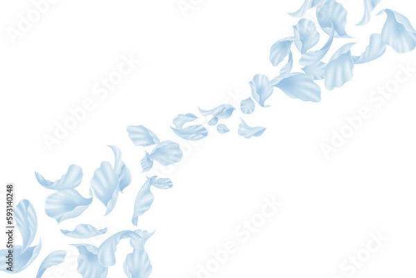 Fototapeta 青 花びら 花吹雪