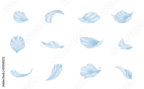 Fototapeta 青 花びら 素材 セット