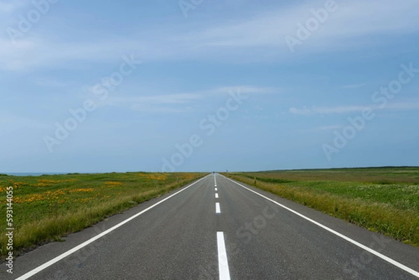 Fototapeta 北海道の草原地帯を走る直線道路