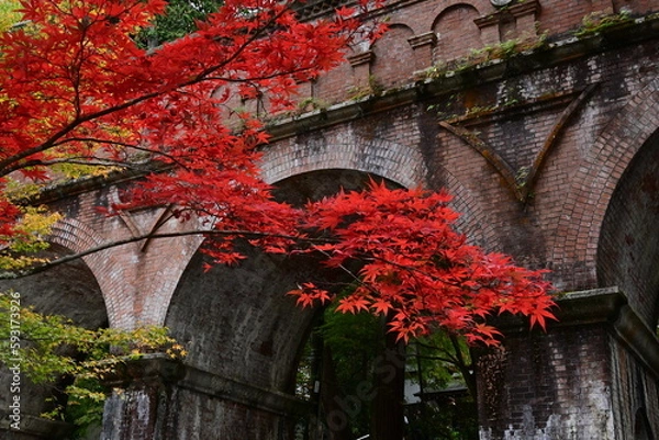 Fototapeta 南禅寺水路閣の紅葉