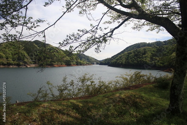 Fototapeta 宮ヶ瀬ダム