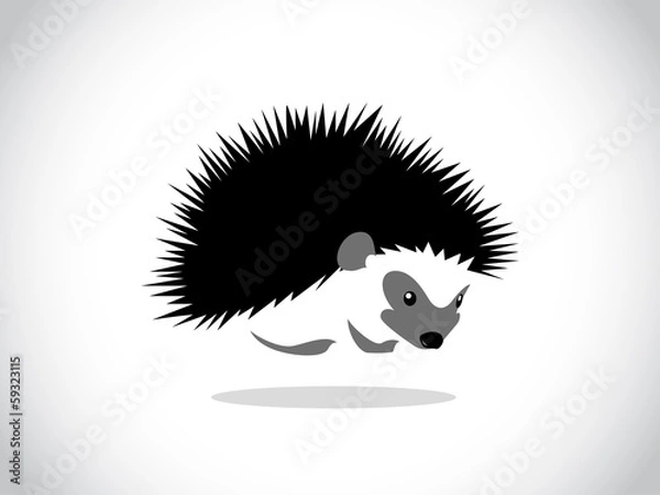 Obraz hedgehog