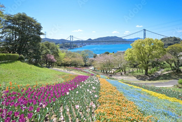 Fototapeta 桜咲く春の火の山公園トルコチューリップ園から望む関門海峡