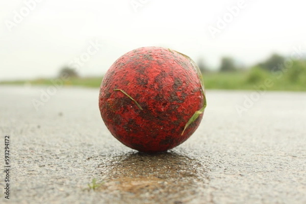 Obraz Boßelkugel rot auf weg