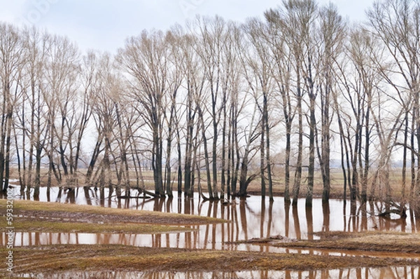 Fototapeta Весеннее половодье