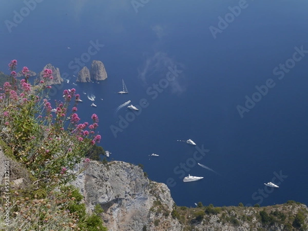 Obraz Aerial view towards the Faraglioni, with the blue waters of the Tyrrhenian sea, and pink flowers on the rocky coast