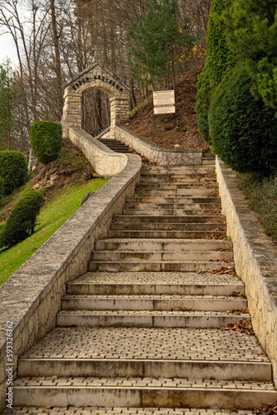 Obraz Klasztor Karmelitów Bosych w Czernej