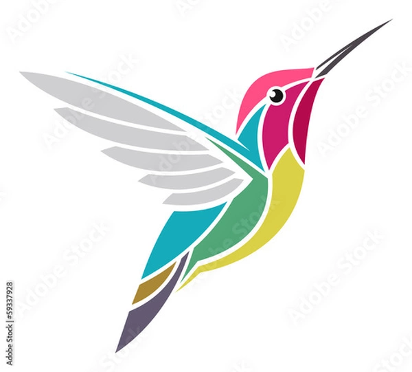 Fototapeta Anna's Hummingbird